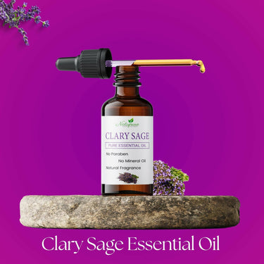 https://cdn.shopify.com/s/files/1/1857/6931/products/TyYK4KDNAm.jpg?v=1683012365
